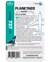 Load image into Gallery viewer,  West Jet Upcycled Plane Tag 
